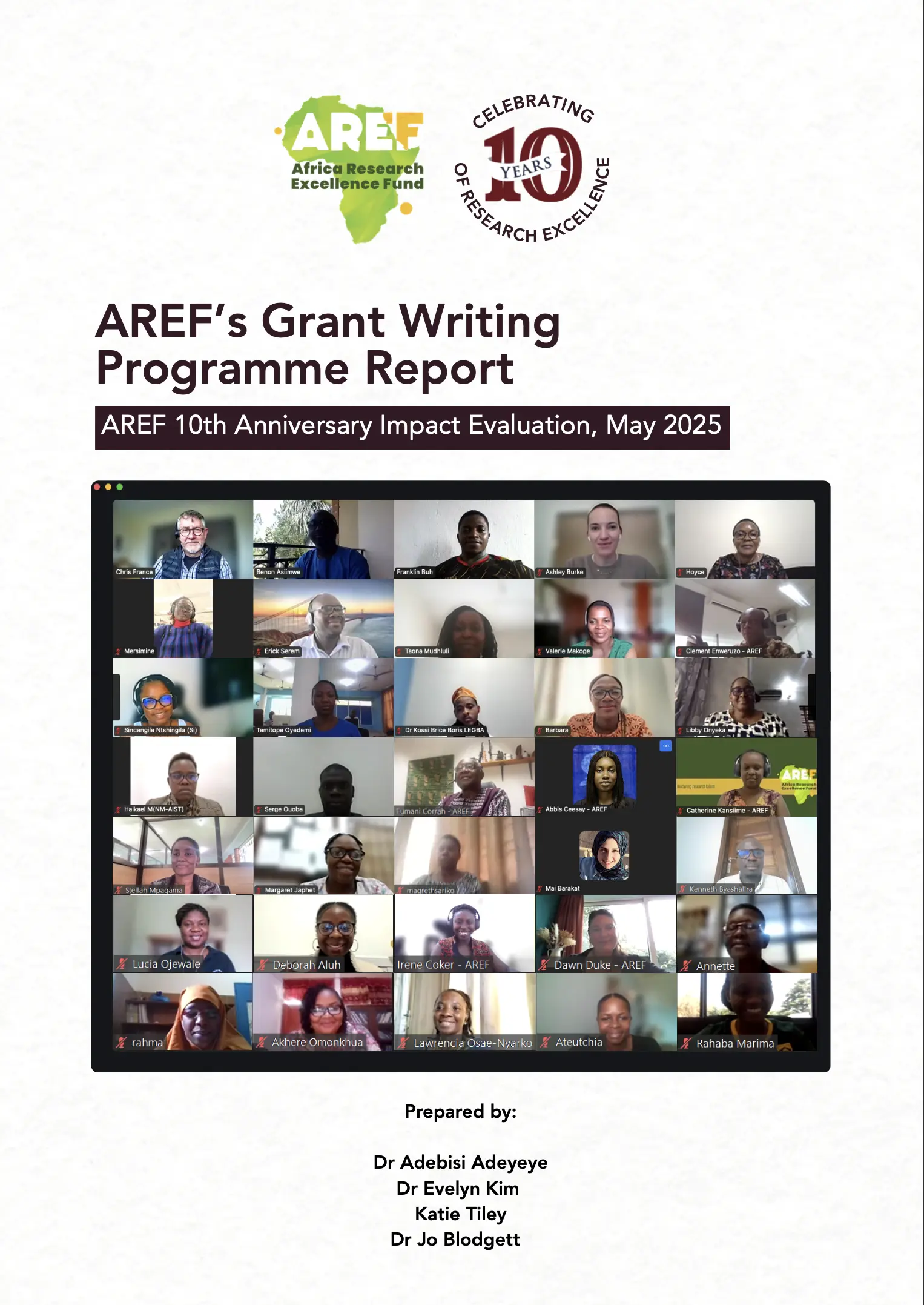 RDF Mini Report Cover